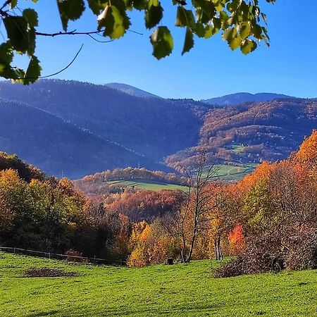Gite A La Source Breitenbach Εξωτερικό φωτογραφία