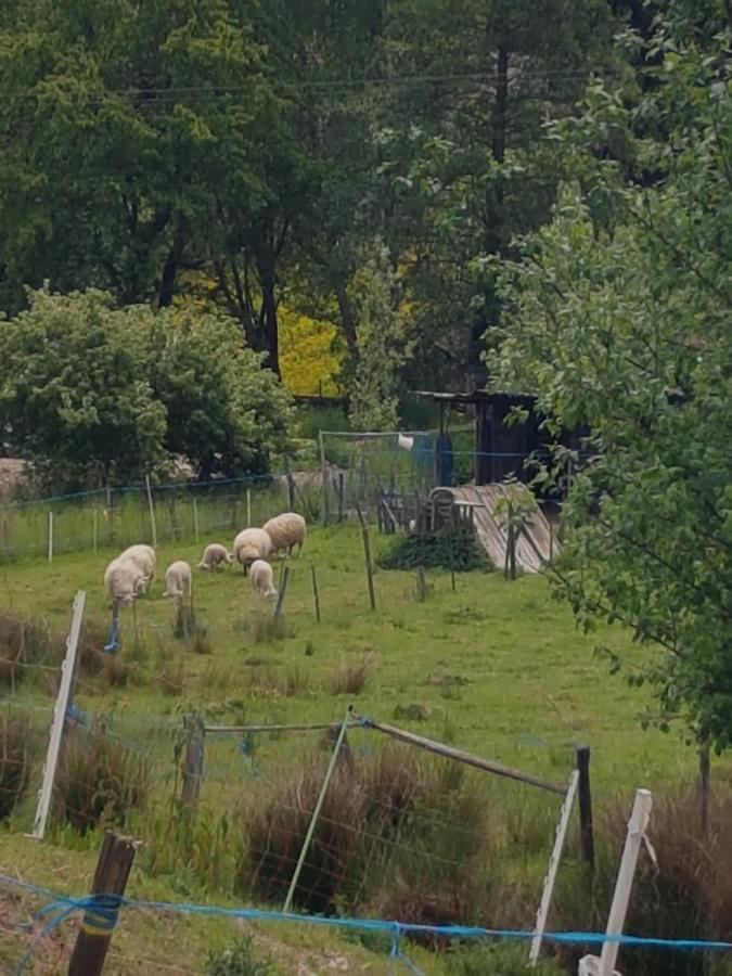 Gite A La Source Breitenbach Εξωτερικό φωτογραφία